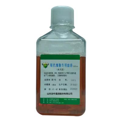 原代細(xì)胞專用血清