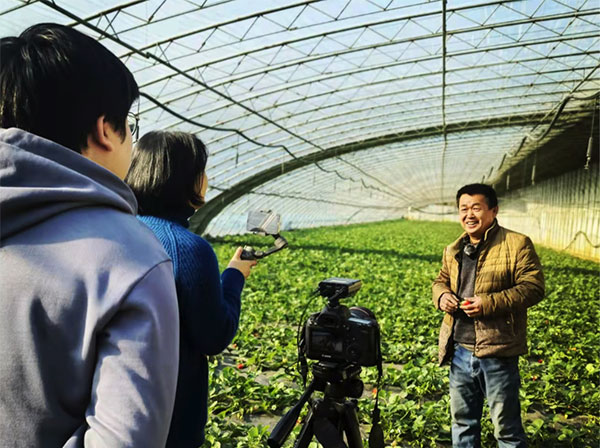 微生物菌肥 微生物菌肥