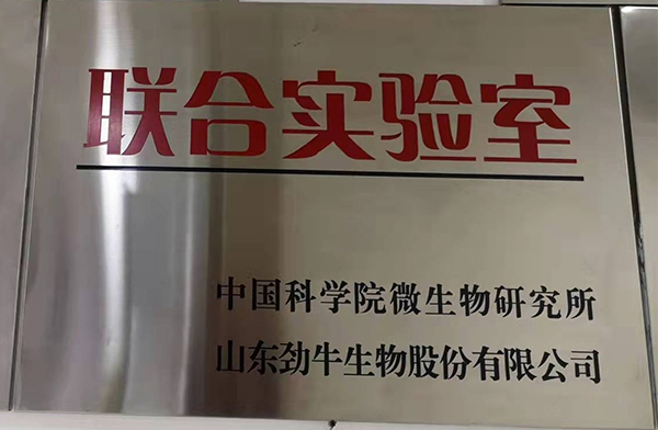 榮譽(yù)資質(zhì)